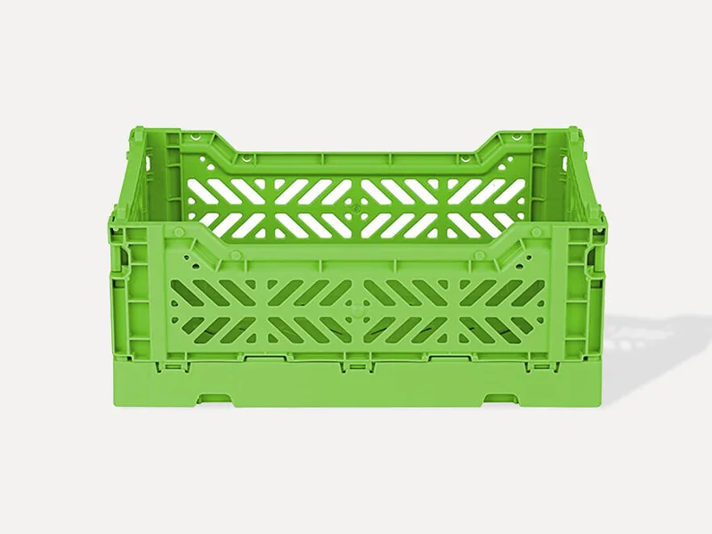 Wasabi Mini